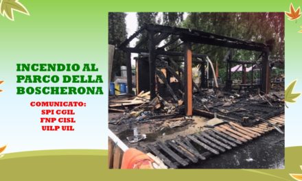 INCENDIO AL PARCO DELLA BOSCHERONA